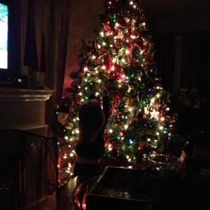 Meet your Posher, Karin